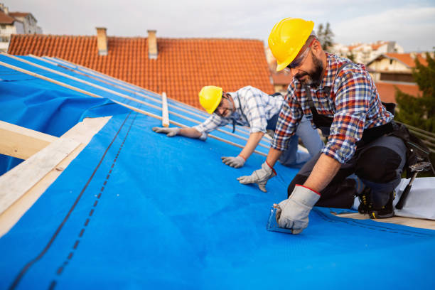 Best Rubber Roofing (EPDM, TPO)  in Trenton, MI
